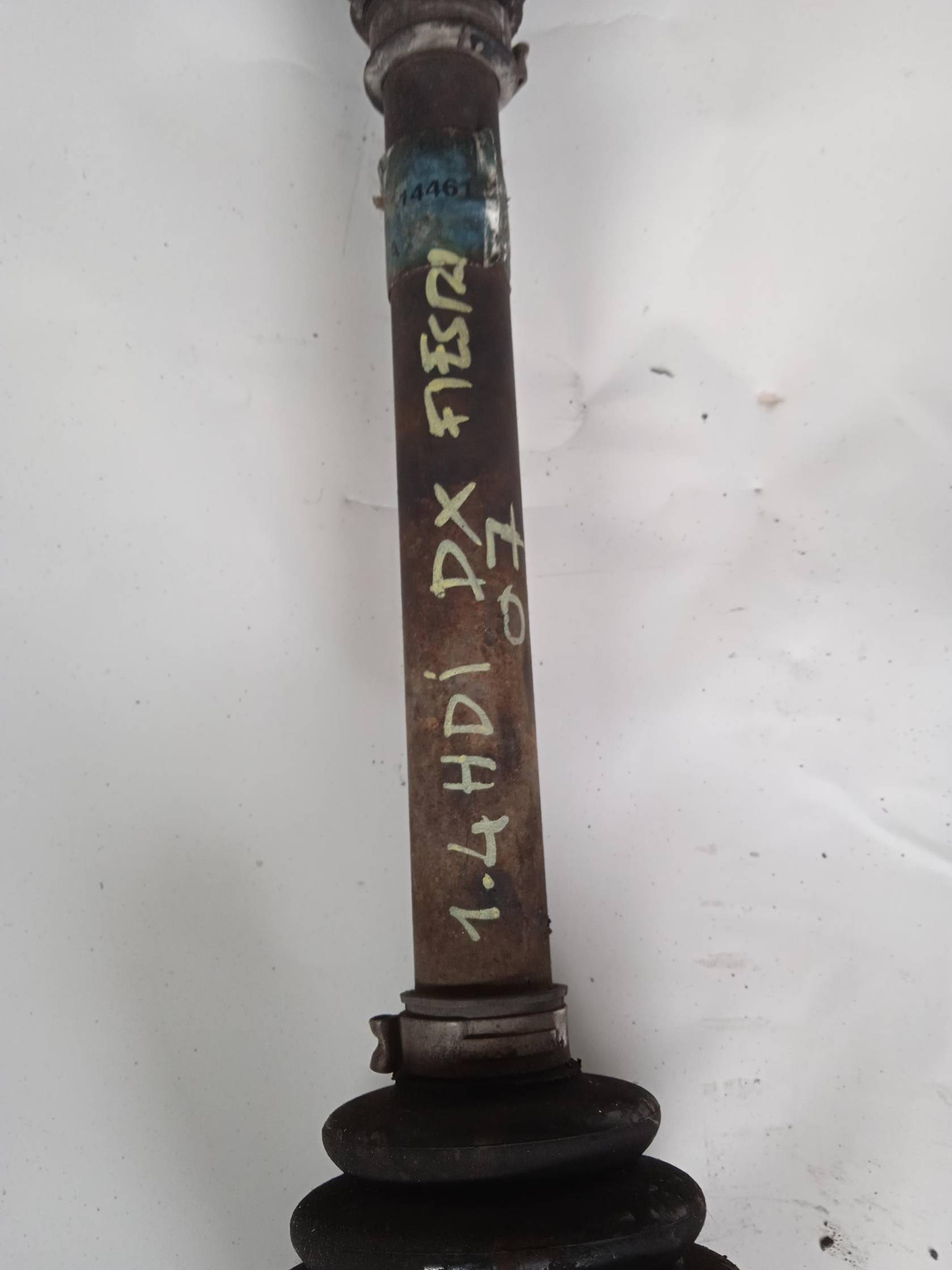 Semialbero ant. compl. dx.